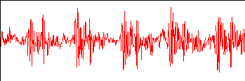 Dolphin click signal