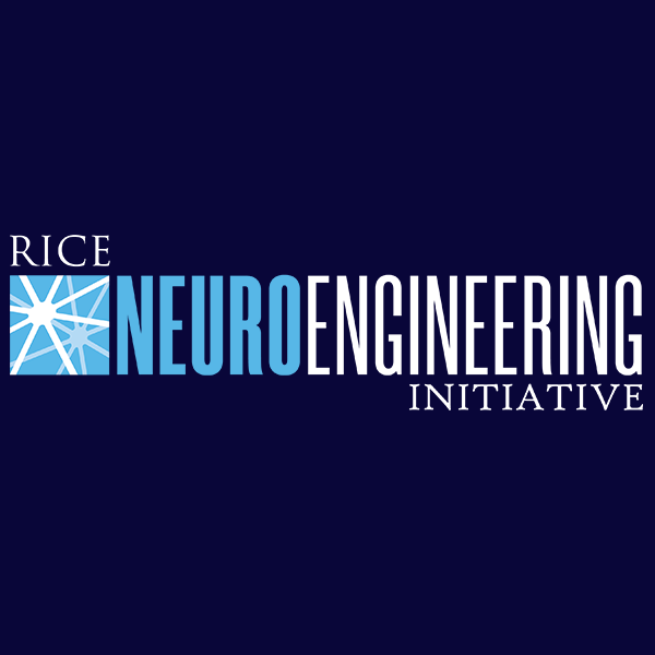 Neuroengineering