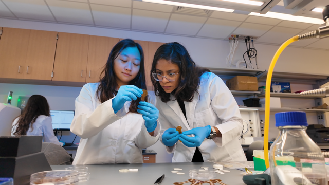 Digital Health Minor